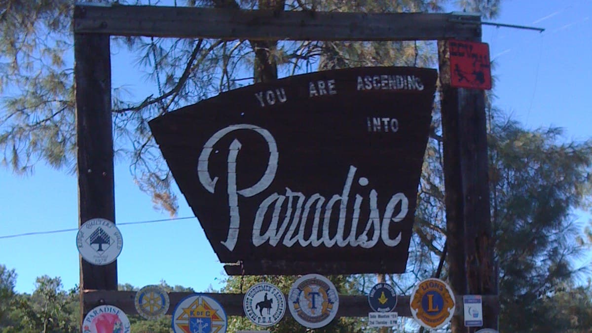 The weathered wooden "You are ascending into Paradise" roadside welcome sign, ringed with local service-club emblems, under pines in Paradise, California
